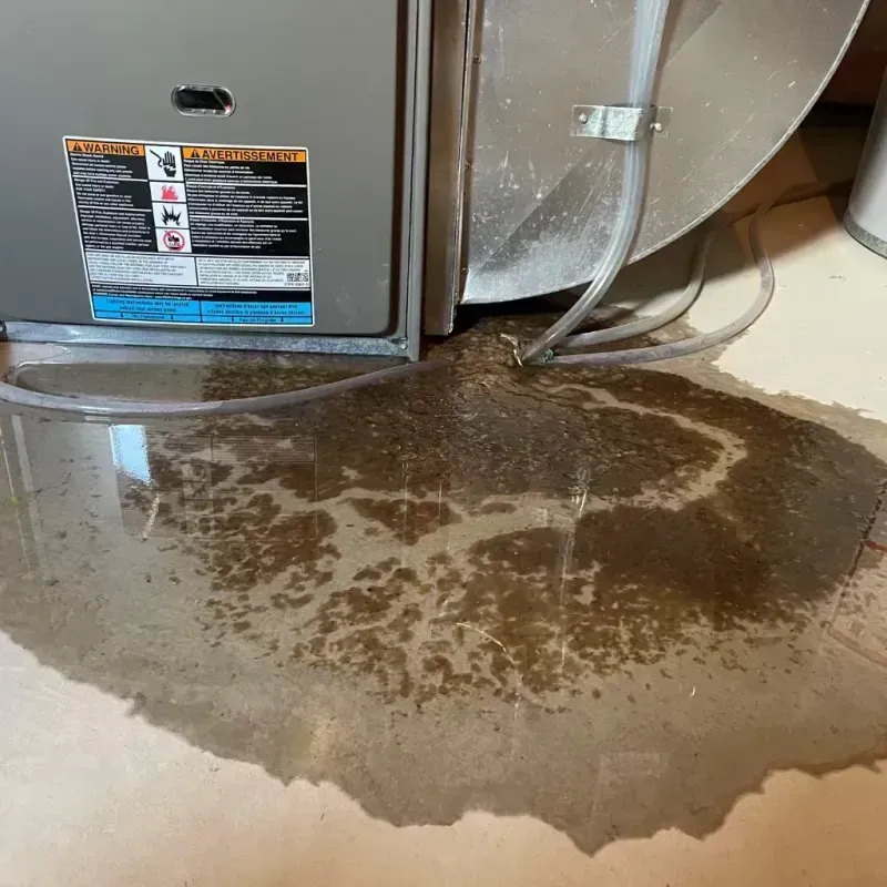 Appliance Leak Cleanup in Mount Kisco, NY